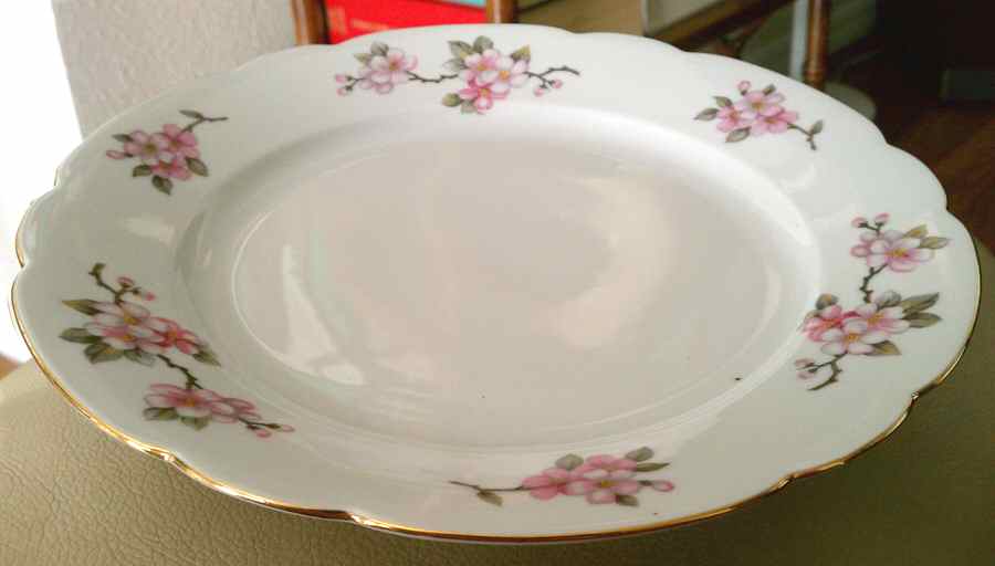 SLT419 Dinner Plate by Seltmann-1