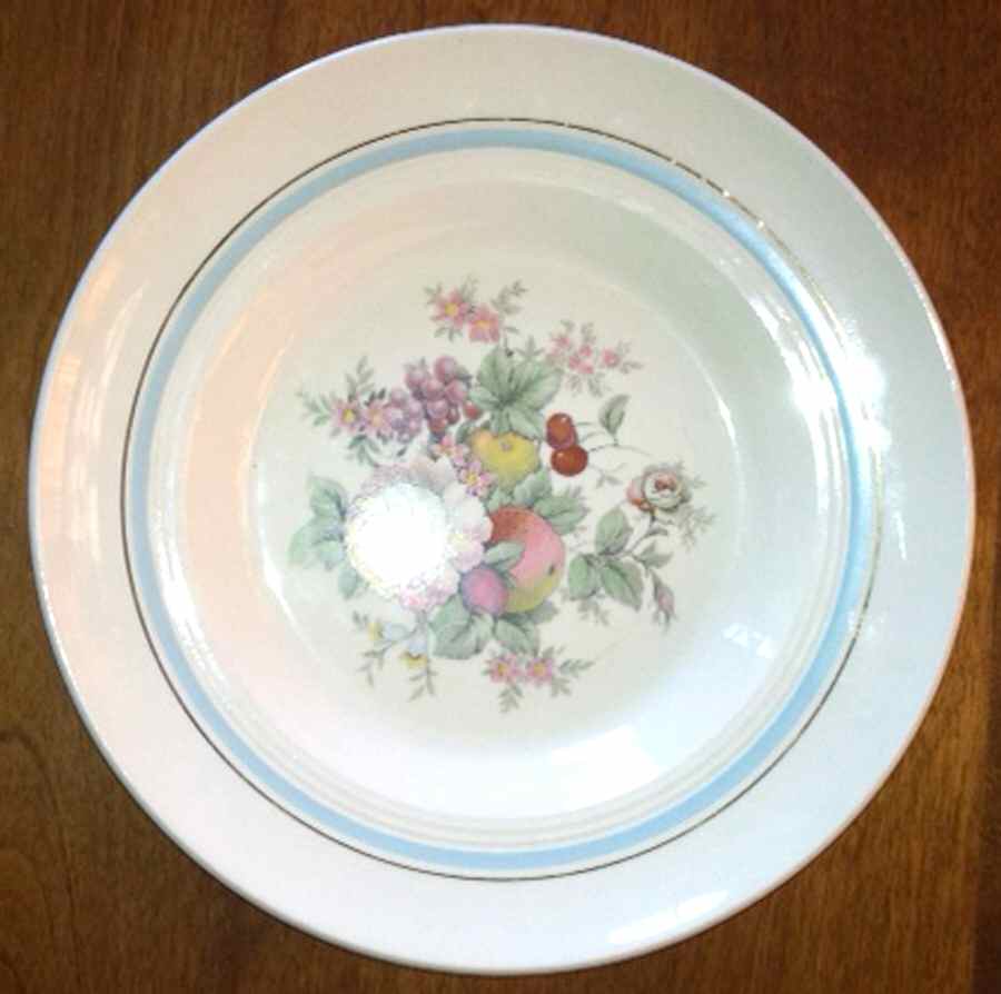 SLM372 Dinner Plate by Salem-1