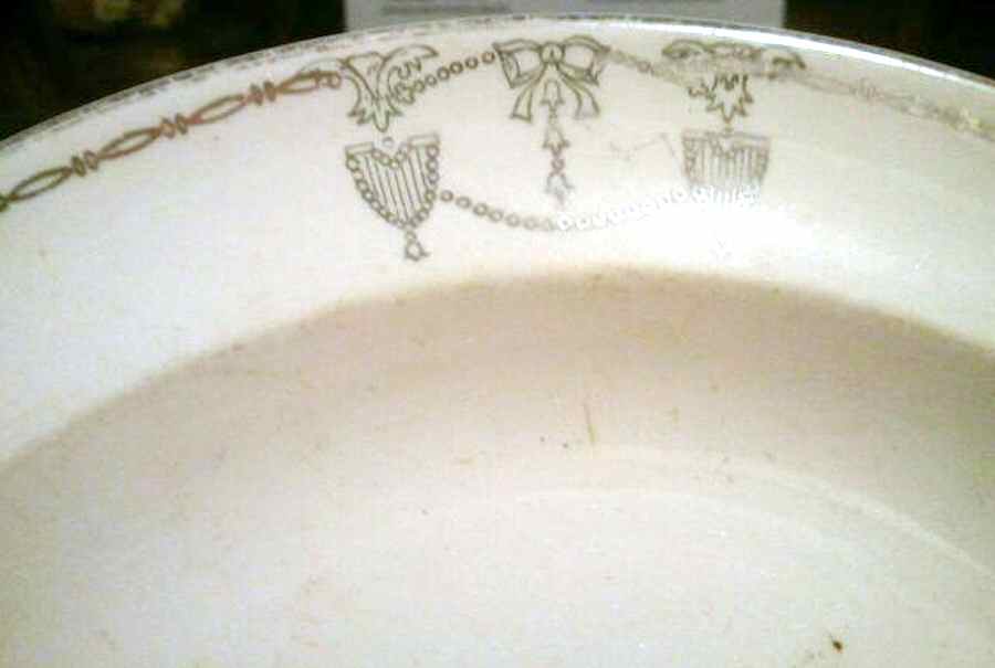 SLM373 Dinner Plate by Salem-1
