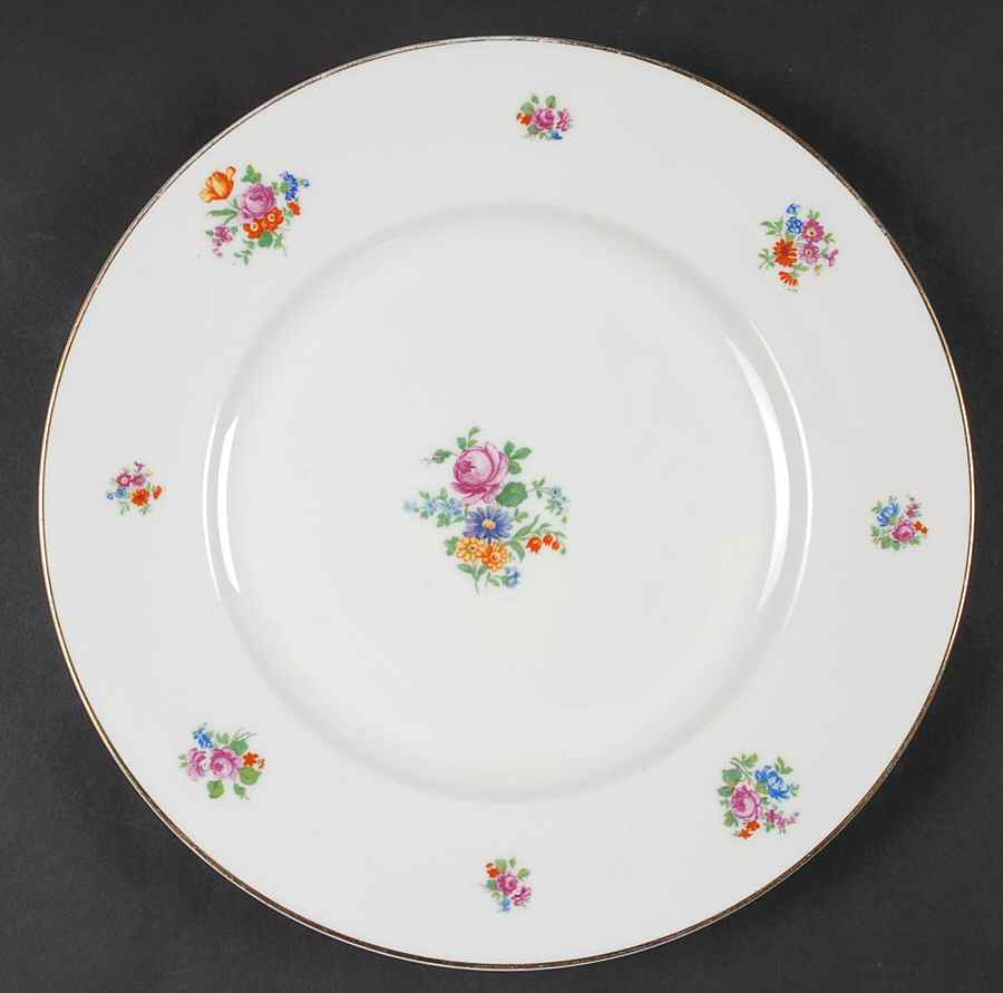 SCD129 Dinner Plate by Schonwald-1