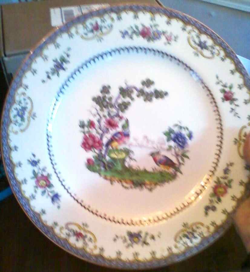 Chelsea Dinner Plate by Spode-1