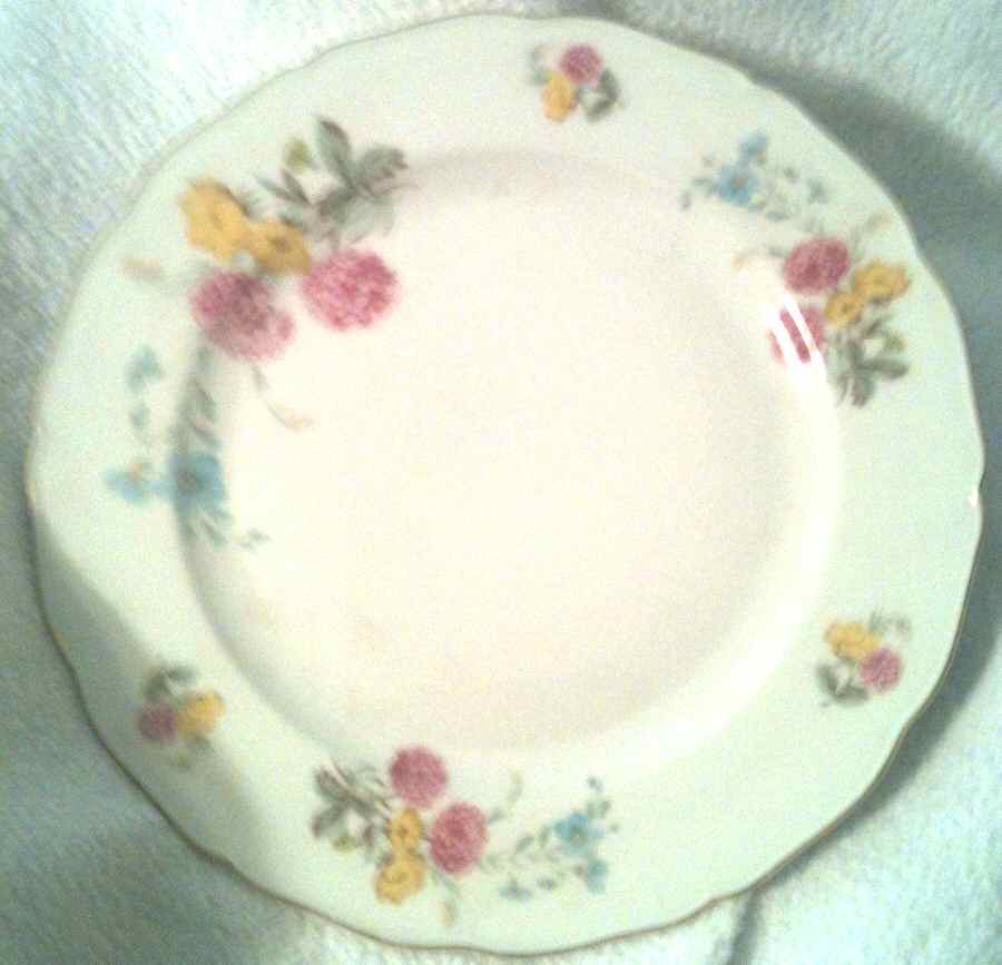 SLT422 Dinner Plate by Seltmann-1
