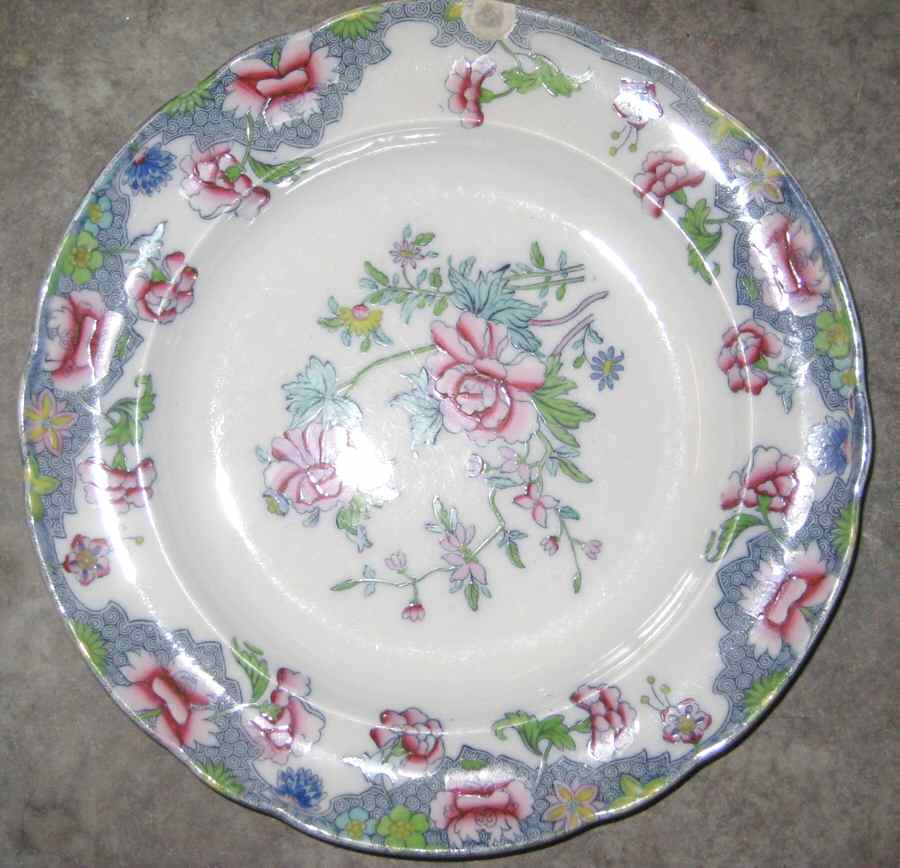 8036M Dinner Plate by Spode-1