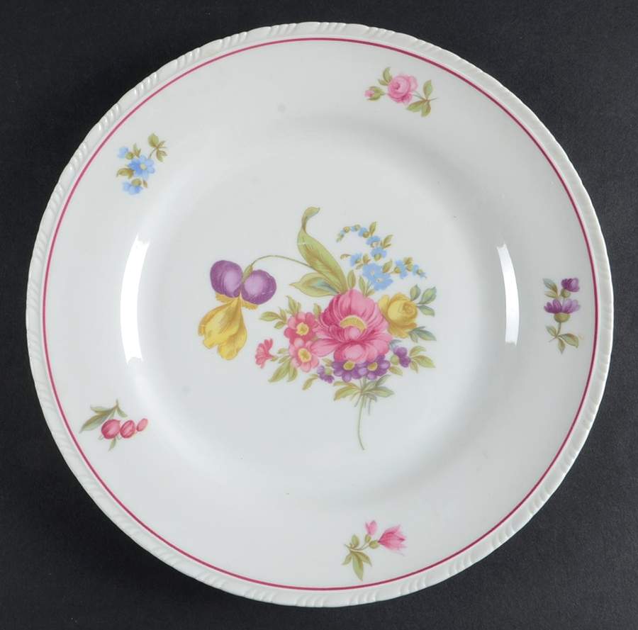 SCD130 Dinner Plate by Schonwald-1