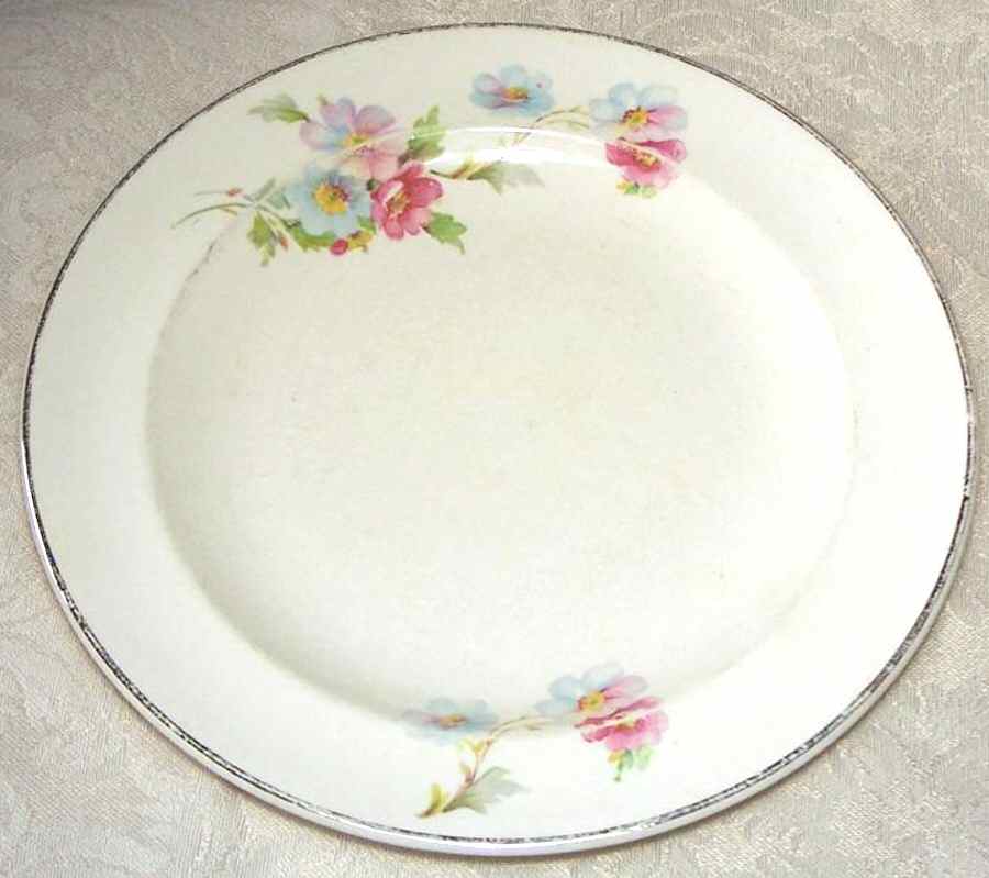SLM375 Dinner Plate by Salem-1
