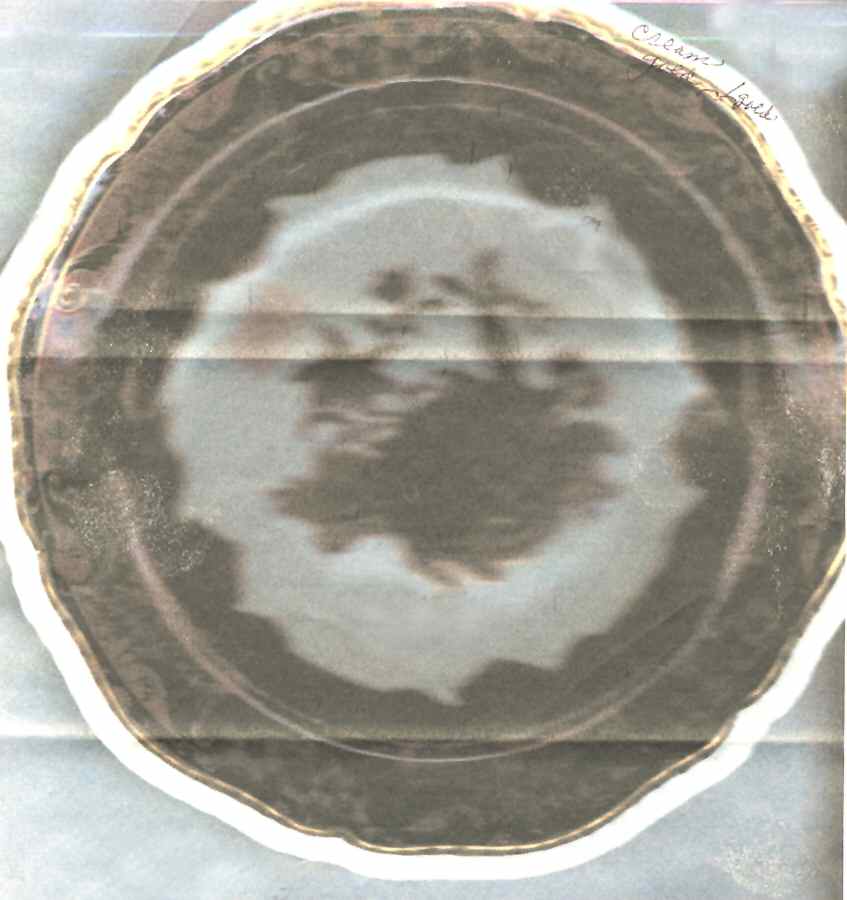 Imperial Salad Plate by Spode-1