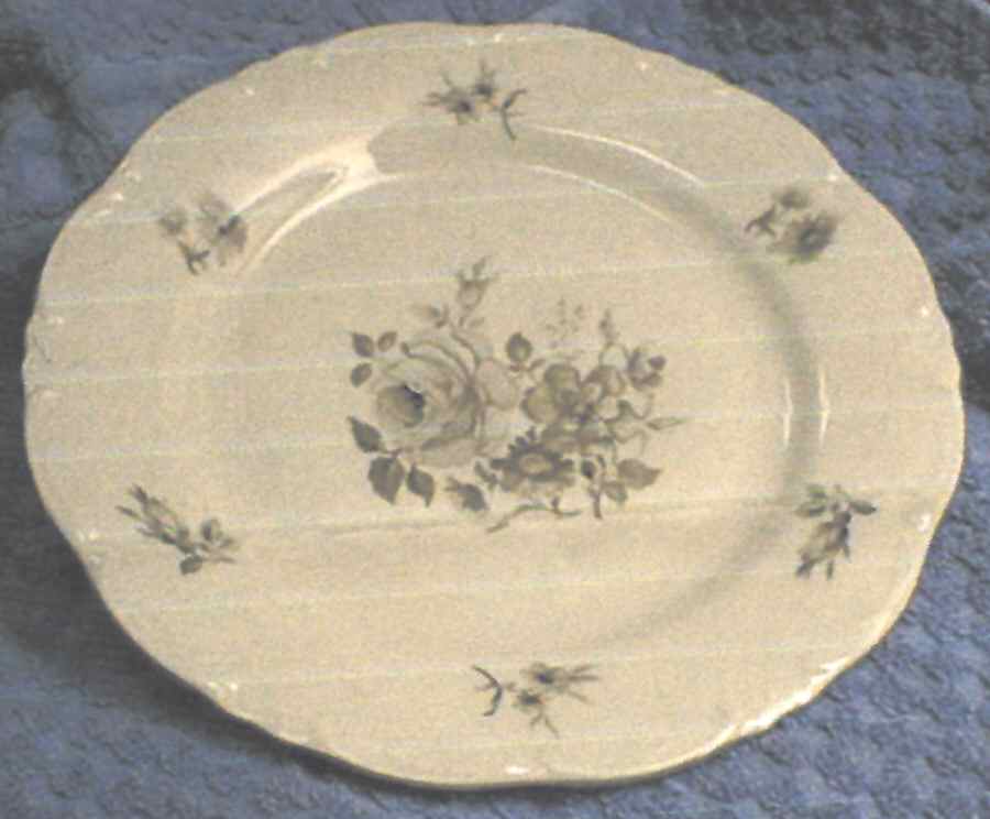 SCG120 Dinner Plate by Schirnding-1