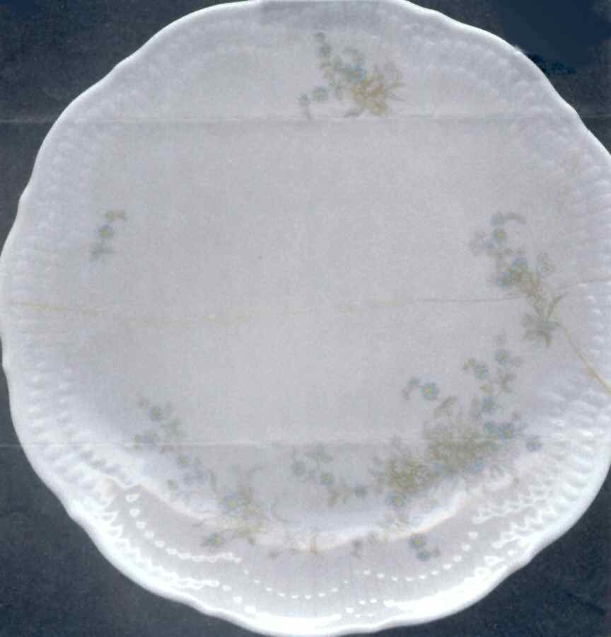 SCG121 Salad Plate by Schirnding-1