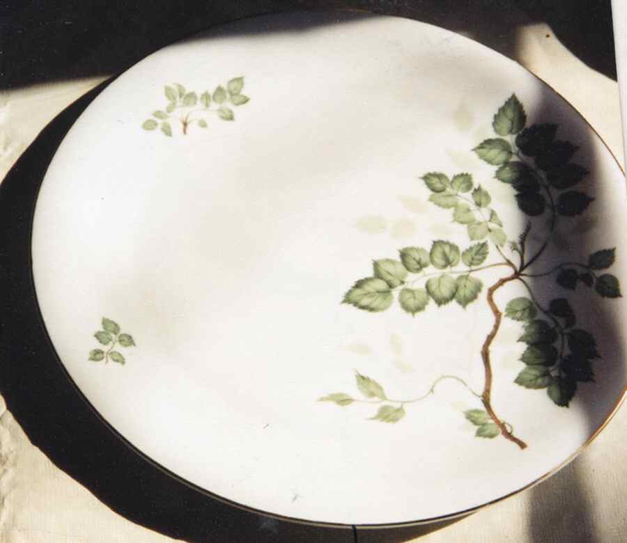 SCG122 Dinner Plate by Schirnding-1