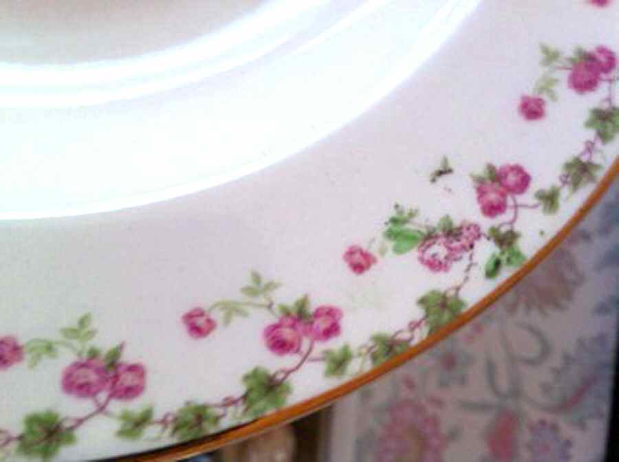STB387 Dinner Plate by Steubenville-1
