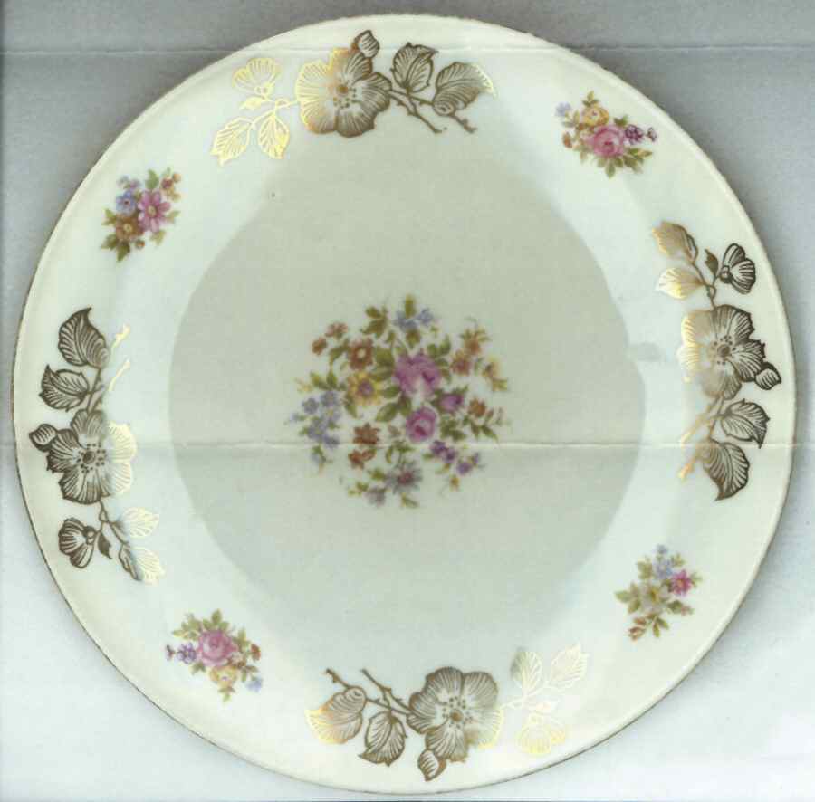 SLT424 Dinner Plate by Seltmann-1