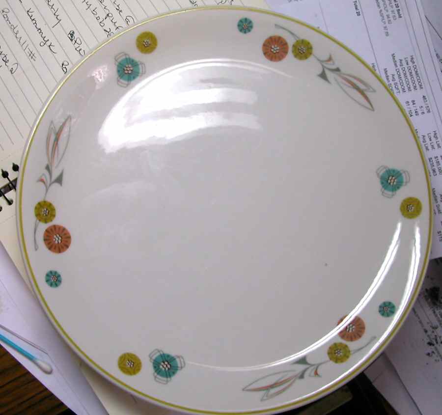 SY1078 Dinner Plate by Syracuse-1