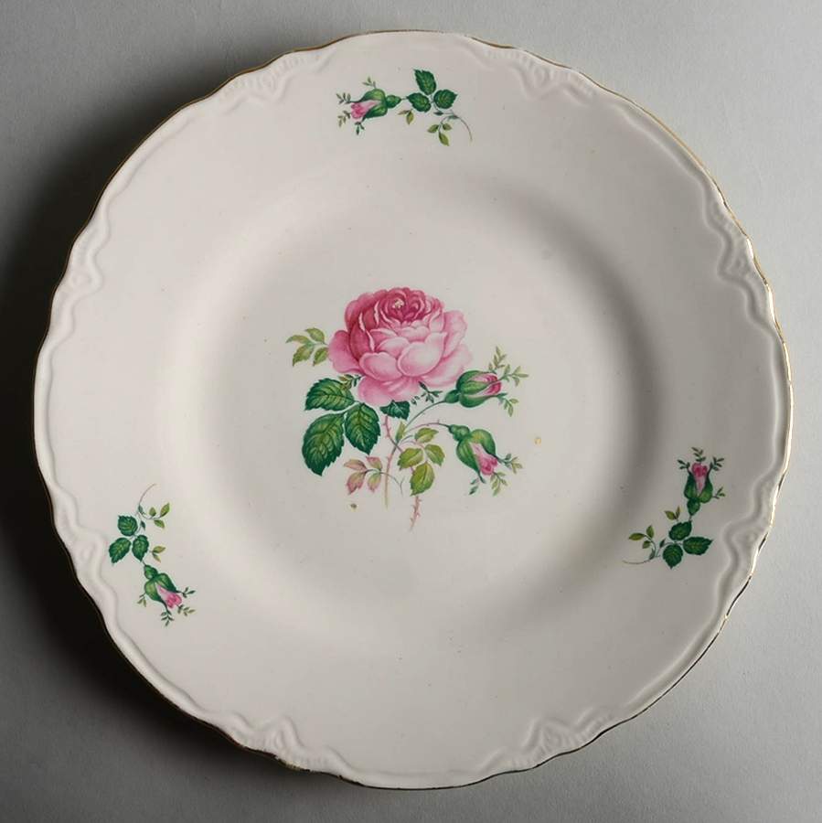 SC7 Dinner Plate by SCIO-1