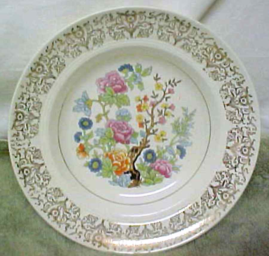 SLM381 Dinner Plate by Salem-1