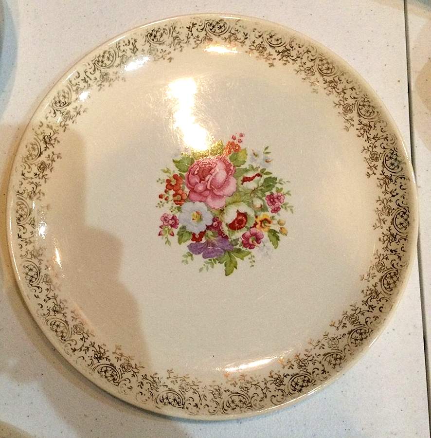 SLM382 Dinner Plate by Salem-1