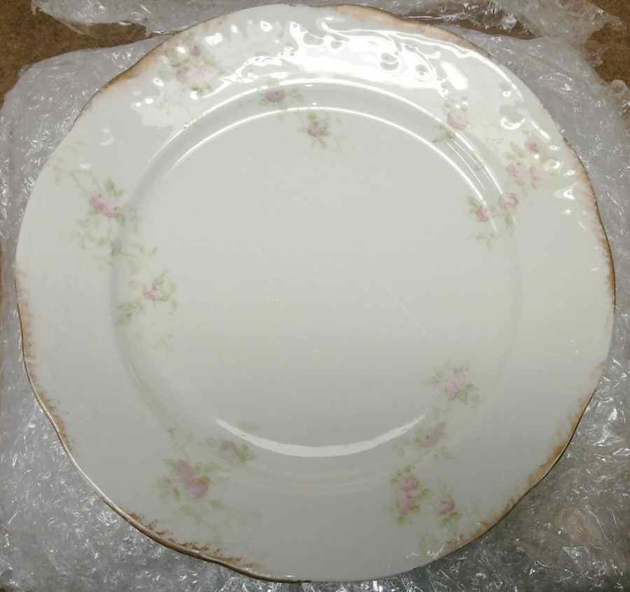 SY1079 Dinner Plate by Syracuse-1