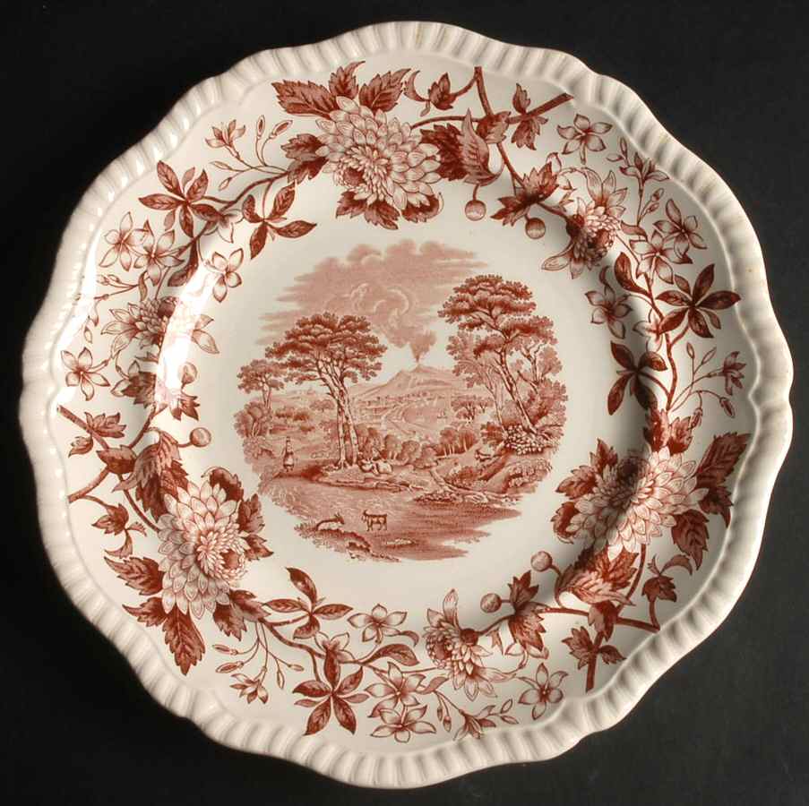 SP607 Brown Dinner Plate by Spode-1