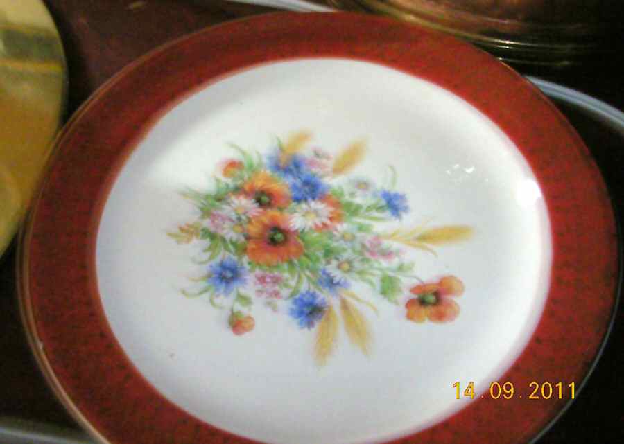 SLM384 Dinner Plate by Salem-1