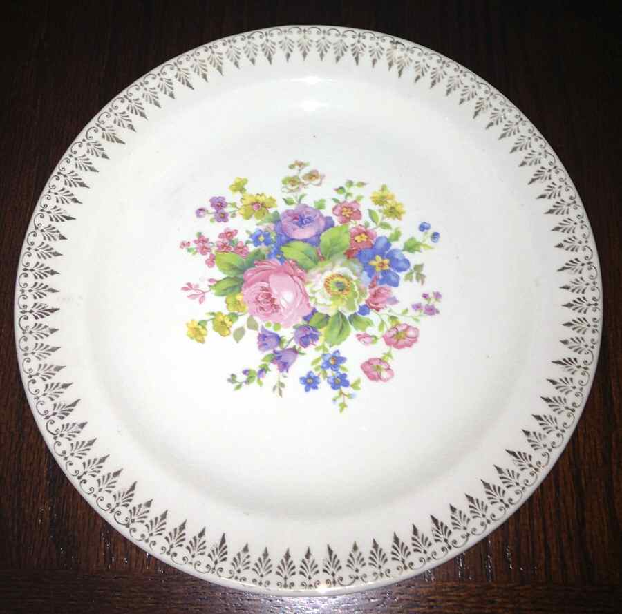 SLM385 Dinner Plate by Salem-1