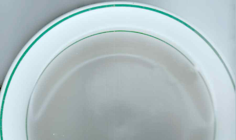 SY1080 Dinner Plate by Syracuse-1