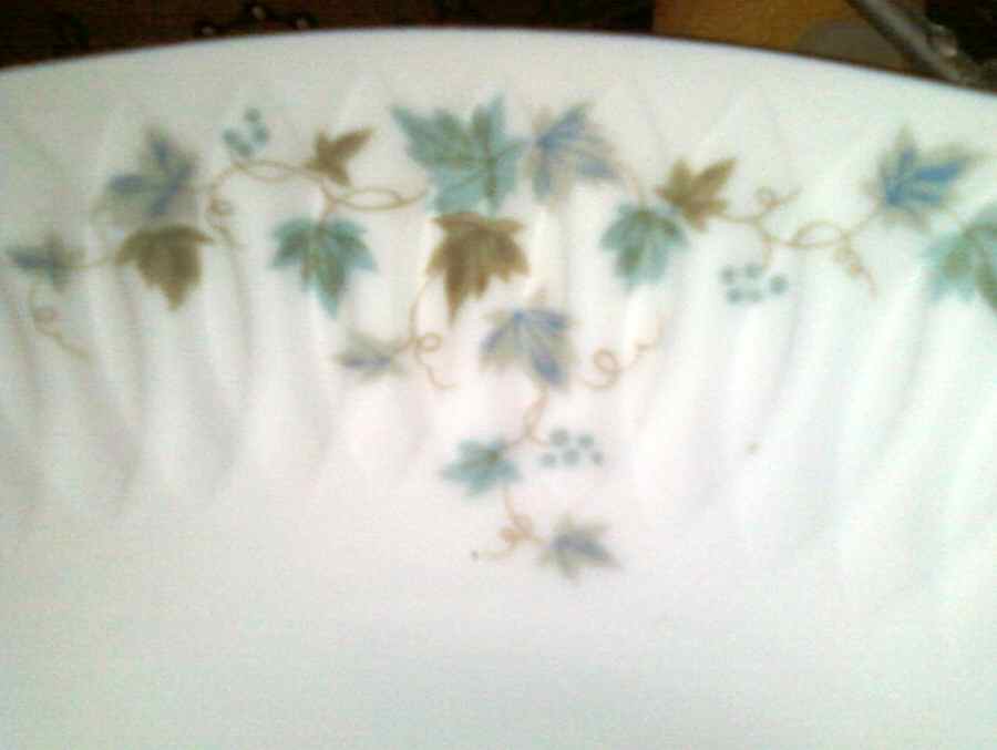Connoisseur Dinner Plate by Sango-1