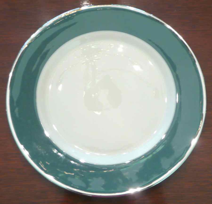 SFE3 Dinner Plate by San Fernando-1