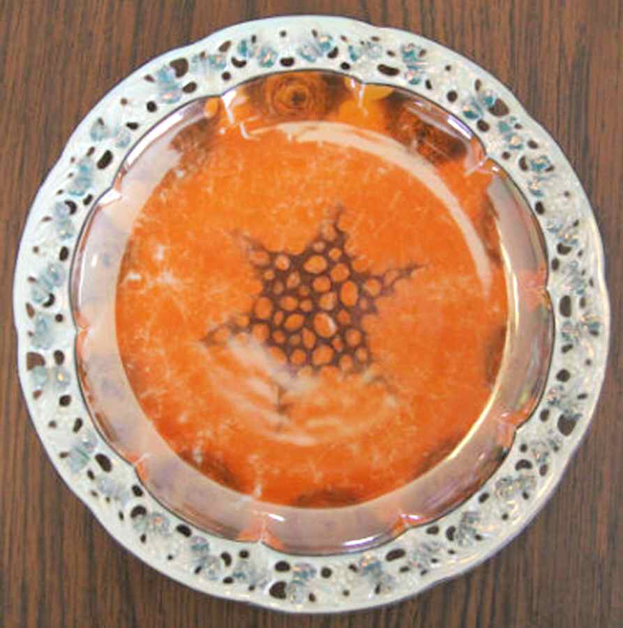SCD134 Bread & Butter Plate by Schonwald-1