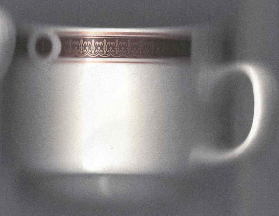Ambassador Crimson Flat Cup by Steelite-1