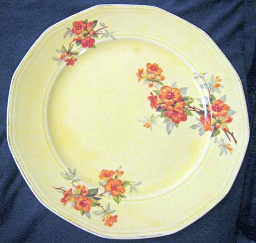 SLM389 Dinner Plate by Salem-1