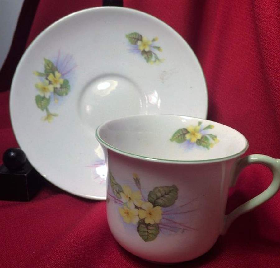 Primrose (Unknown Shape) Flat Cup & Saucer Set by Shelley-1