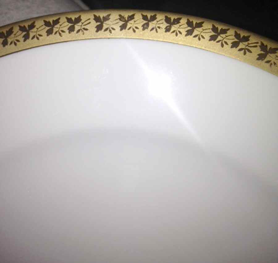SLT426 Dinner Plate by Seltmann-1