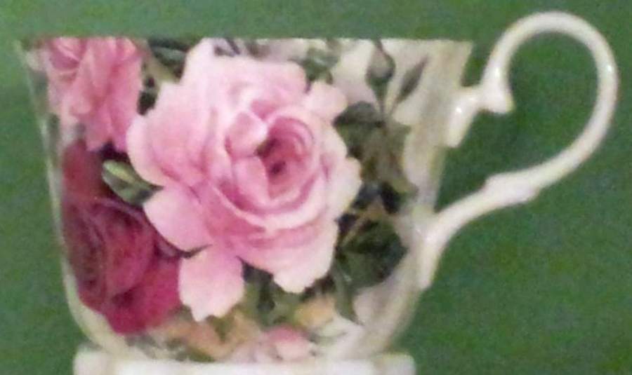 4988 Flat Cup by Staffordshire-1