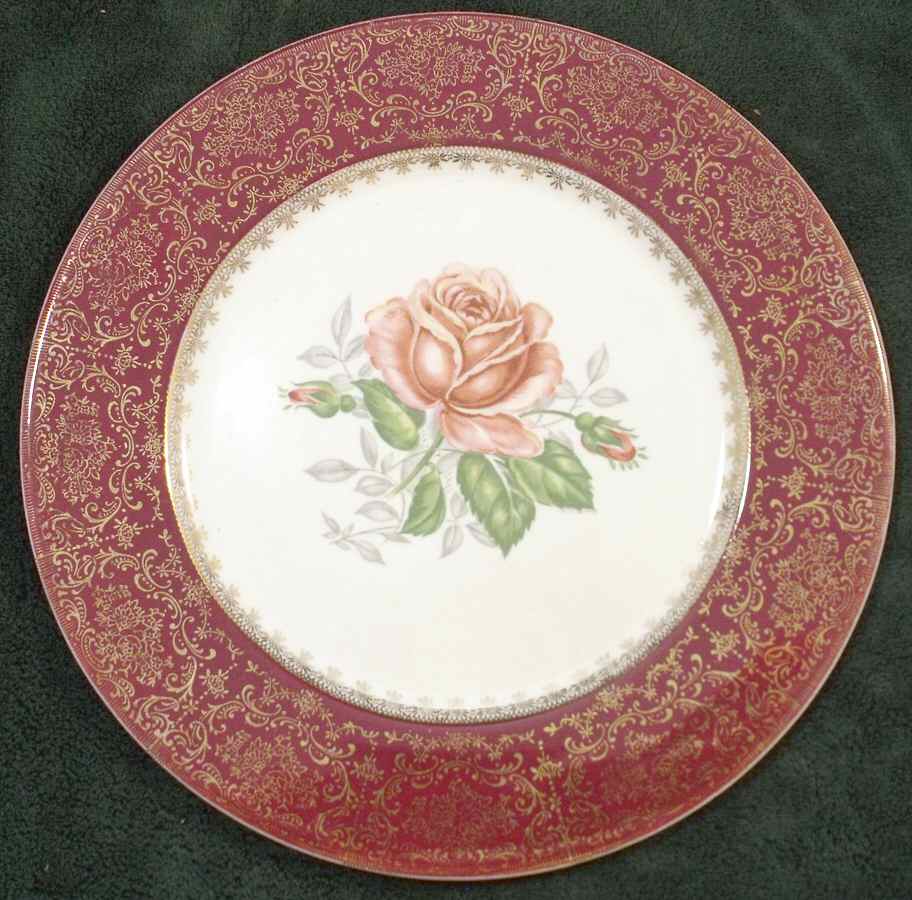 SLM390 Dinner Plate by Salem-1