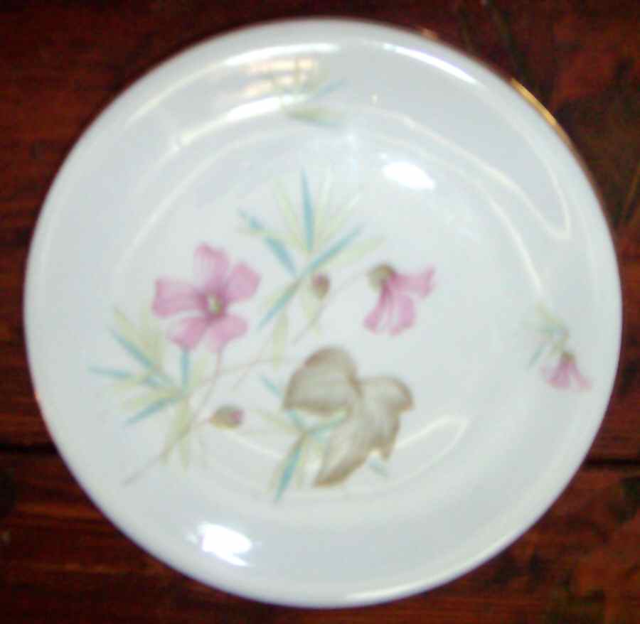 SCG125 Fruit/Dessert (Sauce) Bowl by Schirnding-1
