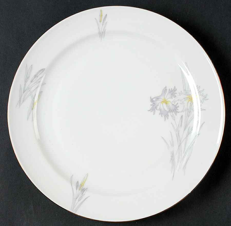 SLT428 Dinner Plate by Seltmann-1