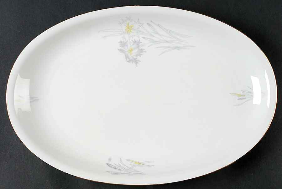 SLT428 14" Oval Serving Platter by Seltmann-1