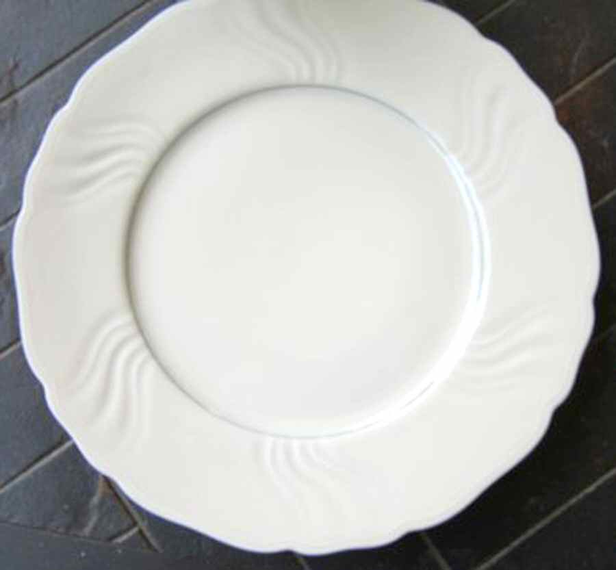 SLT429 Dinner Plate by Seltmann-1