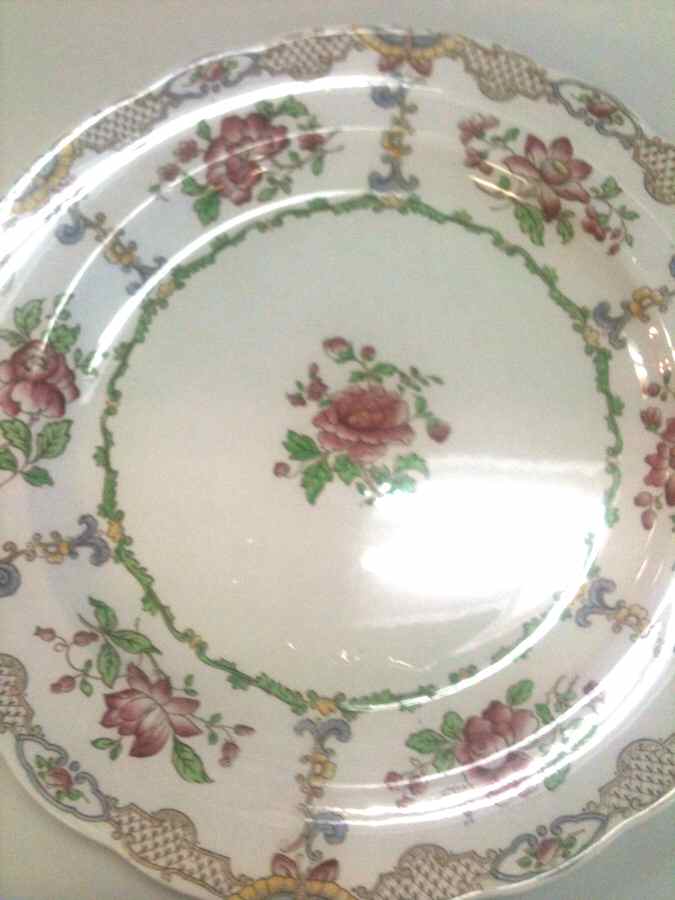 SP625 Dinner Plate by Spode-1