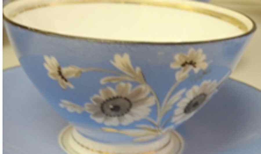 HCZ293 Footed Cup & Saucer Set by Haas-Czjzek Coronado-1