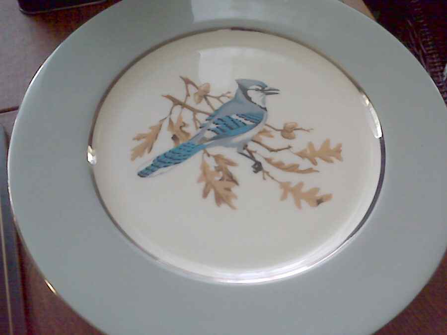 SYR5 Dinner Plate by Style Craft-1