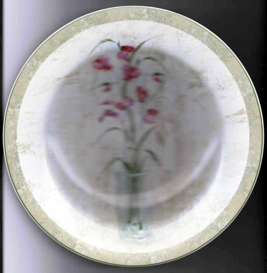 Field of Flowers Bread & Butter Plate by Sakura-1