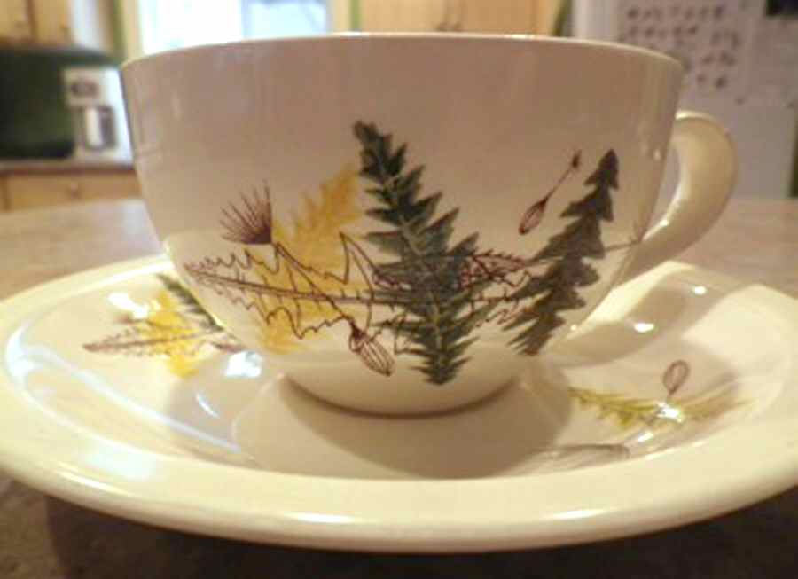 Thistledown Flat Cup & Saucer Set by Simpsons-1