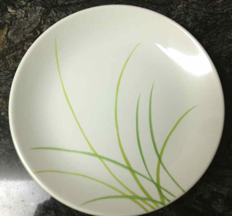 SEA6 Dinner Plate by Sears-1