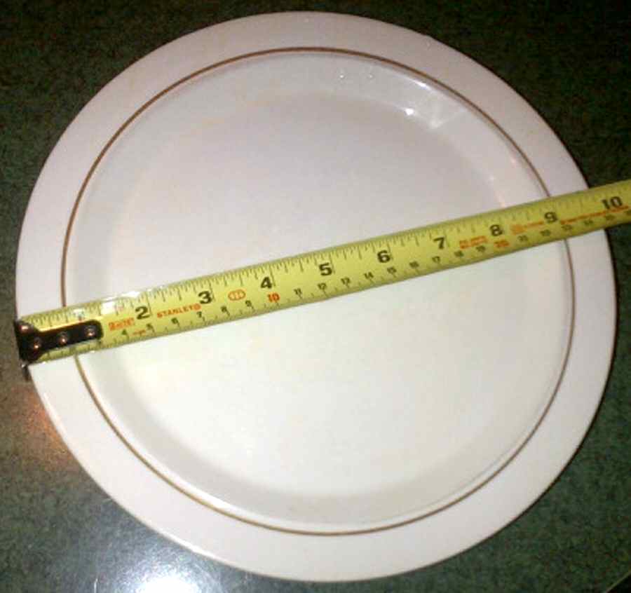 06850 Dinner Plate by Shenango-1