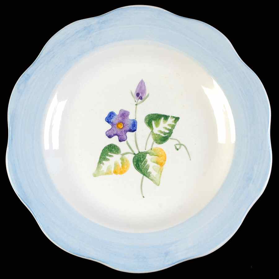 SLU21 Salad Plate by Salute-1