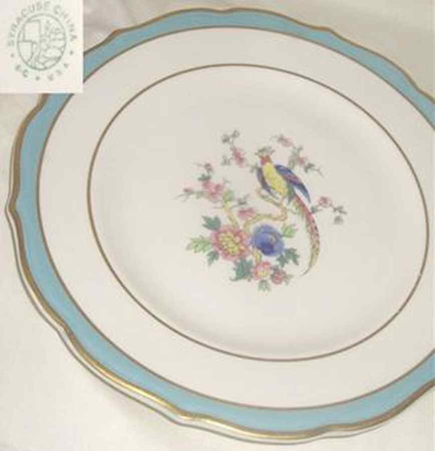 SY1106 Dinner Plate by Syracuse-1