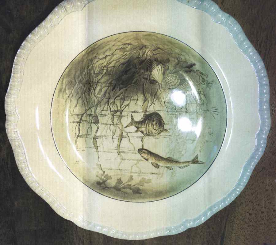 SP636 Luncheon Plate by Spode-1
