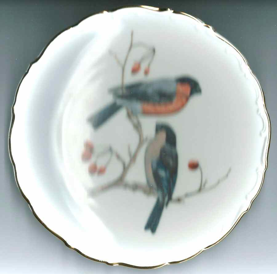 SCH691 Salad Plate by Schumann - Bavaria-1