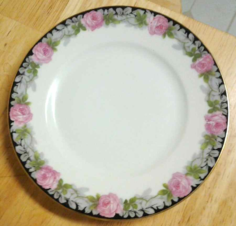 SCD138 Dinner Plate by Schonwald-1