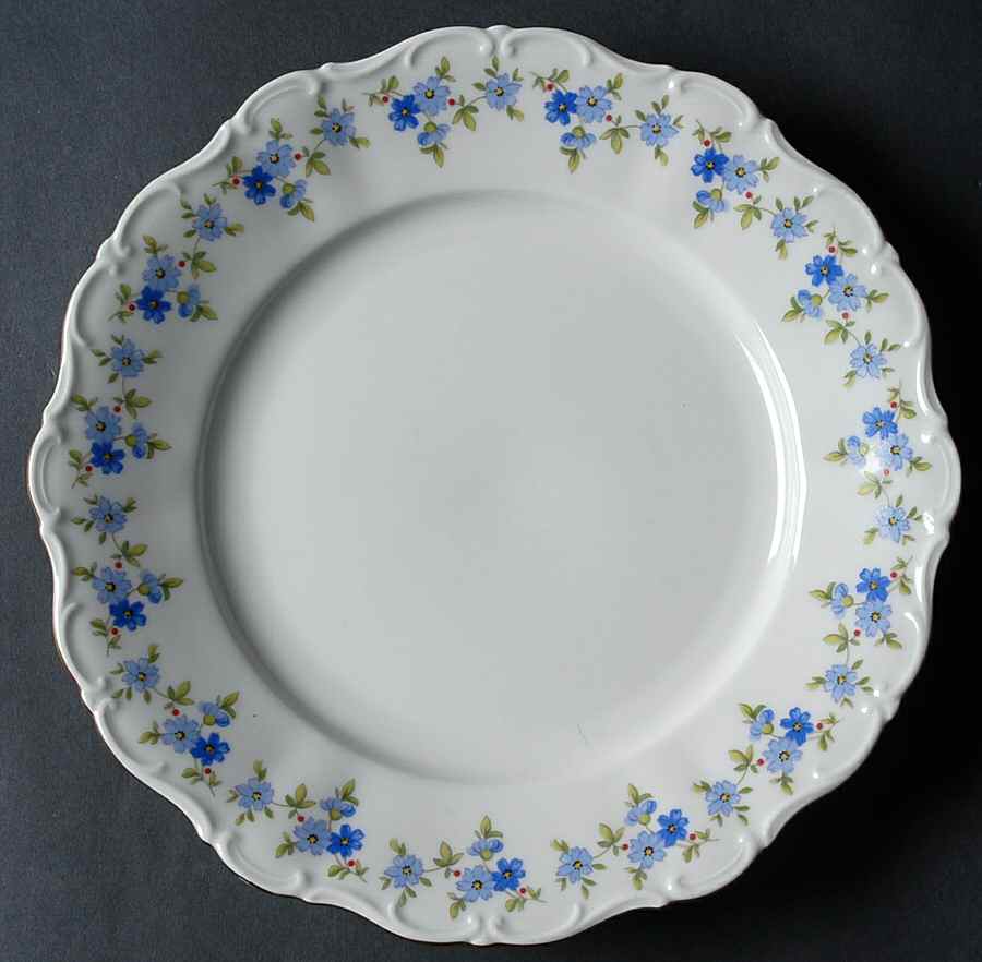 SLT438 Dinner Plate by Seltmann-1